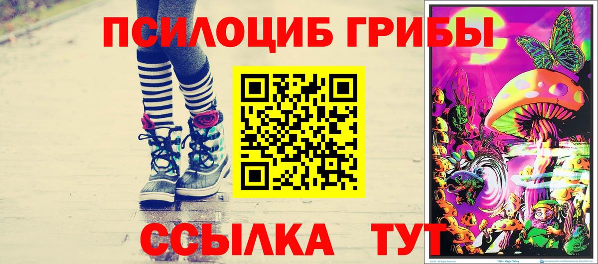 Галлюциногенные грибы GOLDEN TEACHER Котовск