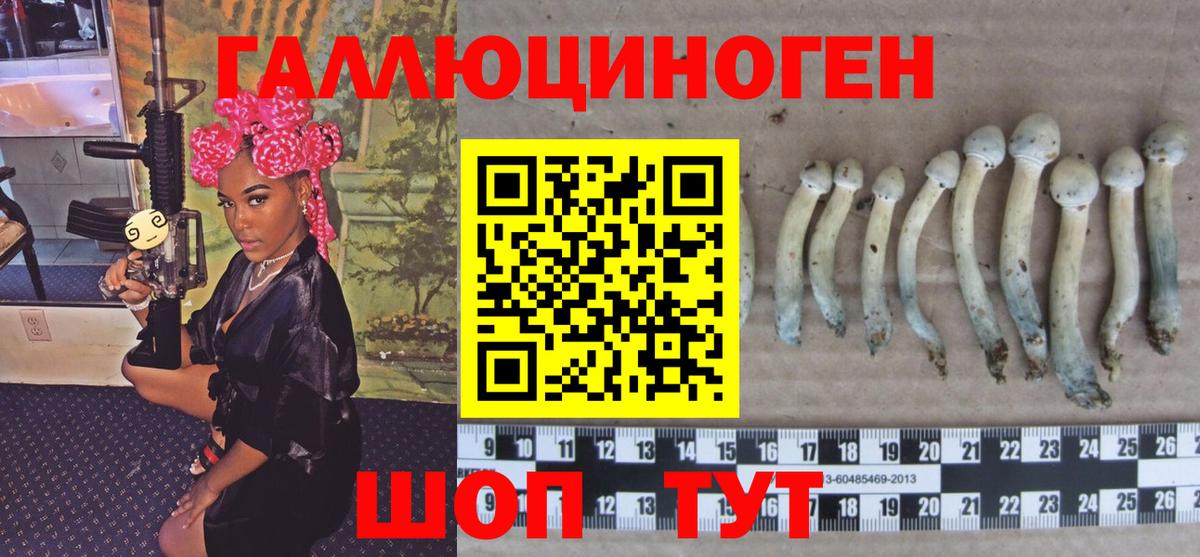 Котовск  Галлюциногенные грибы Psilocybe  Вход с VPN 